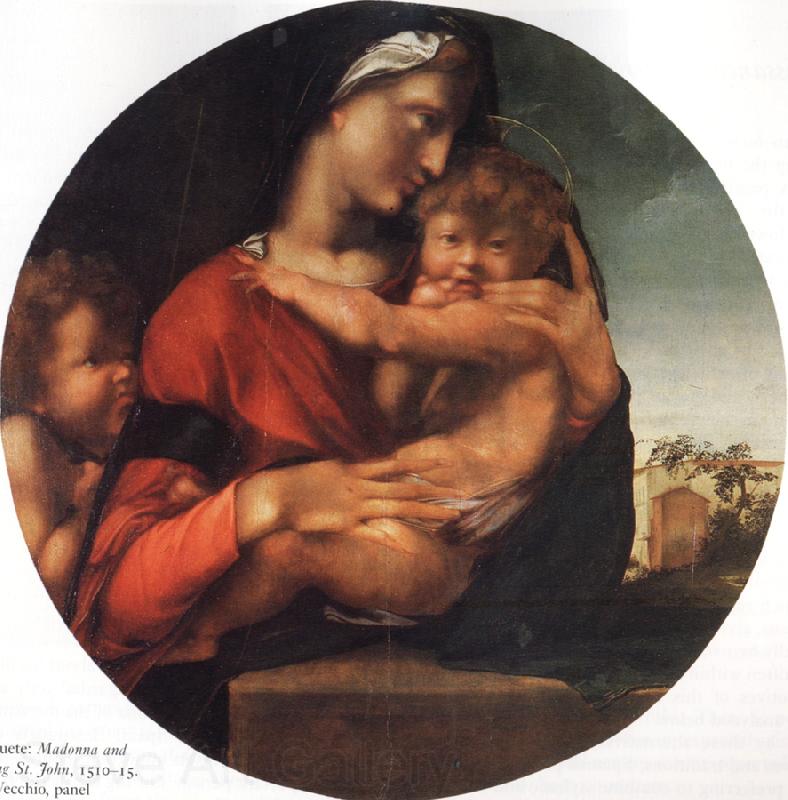 BERRUGUETE, Alonso Madonna and Child with the Young St.Fohn Norge oil painting art